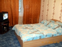 1-комнатная квартира посуточно Гатчина, 25 Проспект Октября, 59: Фотография 2