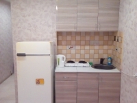 1-комнатная квартира посуточно Новосибирск, Виктора Уса, 15: Фотография 2