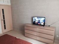 1-комнатная квартира посуточно Нижний Новгород, белинского, 38: Фотография 2