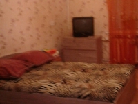 1-комнатная квартира посуточно Уфа, первомайская, 26: Фотография 2