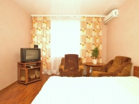1-комнатная квартира посуточно Нижний Новгород, Белинского, 36: Фотография 5