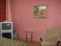 1-комнатная квартира посуточно Дзержинск, Гагарина, 15: Фотография 3