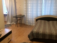 1-комнатная квартира посуточно Дзержинск, Гайдара , 36: Фотография 2