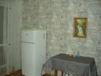 1-комнатная квартира посуточно Тюмень, Циолковского, 13: Фотография 3