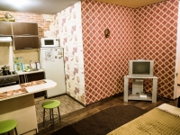 1-комнатная квартира посуточно Ижевск, Холмогороваё, 70: Фотография 3