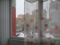 1-комнатная квартира посуточно Брянск, Советская, 62: Фотография 5