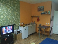 1-комнатная квартира посуточно Пермь, Екатерининская, 122: Фотография 3