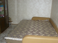 1-комнатная квартира посуточно Казань, Эсперанто, 47: Фотография 9