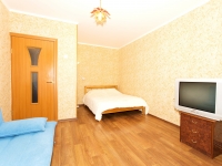 1-комнатная квартира посуточно Нижний Новгород, Звездинка, 7: Фотография 3