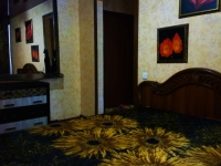 1-комнатная квартира посуточно Саратов, Лунная, 41: Фотография 2