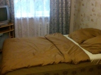 1-комнатная квартира посуточно Брянск, Володарского, 66: Фотография 3