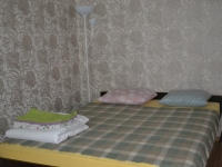 1-комнатная квартира посуточно Омск, Куйбышева, 113А: Фотография 5