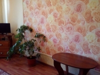 1-комнатная квартира посуточно Минусинск, Абаканская, 56 а: Фотография 2