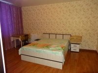 1-комнатная квартира посуточно Нижний Новгород, Глазунова, 3: Фотография 3