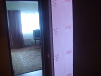 1-комнатная квартира посуточно Омск, октябрьская, 159: Фотография 2