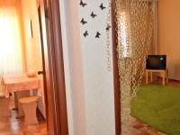 1-комнатная квартира посуточно Новосибирск, Новогодняя улица, 24: Фотография 2