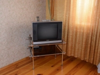 1-комнатная квартира посуточно Ульяновск, Радищева, 3: Фотография 2
