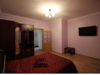 1-комнатная квартира посуточно Нижний Новгород, проспект Ленина, 63: Фотография 2