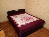2-комнатная квартира посуточно Уфа, Первомайская, 86: Фотография 6