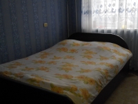2-комнатная квартира посуточно Дзержинск, Петрищева, 17: Фотография 2