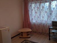 1-комнатная квартира посуточно Нижний Новгород, Васенко, 3: Фотография 5
