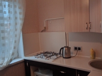 1-комнатная квартира посуточно Нижний Новгород, Васенко, 3: Фотография 8