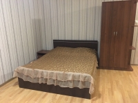 1-комнатная квартира посуточно Ставрополь, Ленина, 424: Фотография 2