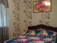 2-комнатная квартира посуточно Дзержинск, Петрищева , 5Б: Фотография 2