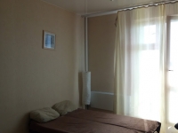 1-комнатная квартира посуточно Новосибирск, Виктора Уса , 9: Фотография 5