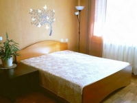 1-комнатная квартира посуточно Нижний Новгород, Совнаркомовская , 26: Фотография 2