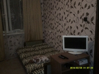 1-комнатная квартира посуточно Воронеж, Пеше-Стрелецкая, 163: Фотография 2