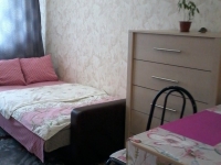 1-комнатная квартира посуточно Нижний Новгород, Большая Покровская , 73: Фотография 4