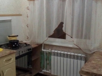 2-комнатная квартира посуточно Курган, Карбышева, 46: Фотография 5