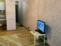 1-комнатная квартира посуточно Улан-Удэ, Смолина, 63(ЦЕНТР ГОРОДА): Фотография 3