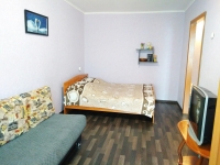 1-комнатная квартира посуточно Красноярск, Сурикова, 6: Фотография 2