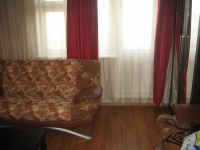 1-комнатная квартира посуточно Новосибирск, Челюскинцев, 5: Фотография 3