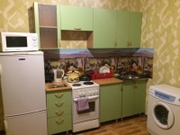 1-комнатная квартира посуточно Минусинск, улица Трегубенко, 61: Фотография 2