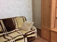 1-комнатная квартира посуточно Нижний Новгород, Московское шоссе, 11: Фотография 4