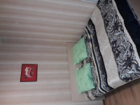 1-комнатная квартира посуточно Владимир, Большая Московская, 37: Фотография 3