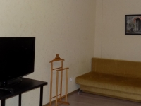 1-комнатная квартира посуточно Нижний Новгород, Бульвар Южный , 14: Фотография 2