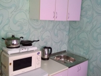1-комнатная квартира посуточно Томск, Елизаровых, 46: Фотография 3