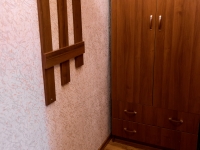 1-комнатная квартира посуточно Воронеж, Арсенальная , 4А: Фотография 17