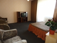 1-комнатная квартира посуточно Миасс, Лихачева, 43: Фотография 4