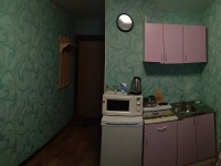 1-комнатная квартира посуточно Томск, Елизаровых, 46: Фотография 8
