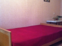 1-комнатная квартира посуточно Иркутск, Байкальская, 233: Фотография 2