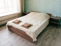 2-комнатная квартира посуточно Тамбов, Советская улица, 190Дк1: Фотография 5