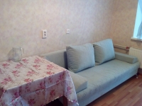 1-комнатная квартира посуточно Екатеринбург, Бакинских комиссаров , 113: Фотография 4