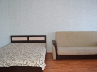 1-комнатная квартира посуточно Пермь, Луначарского, 66: Фотография 5