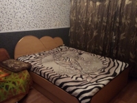 1-комнатная квартира посуточно Хабаровск, Владивостокская, 35: Фотография 3