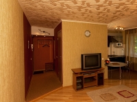 2-комнатная квартира посуточно Гатчина, РАДИЩЕВА , 18А: Фотография 4